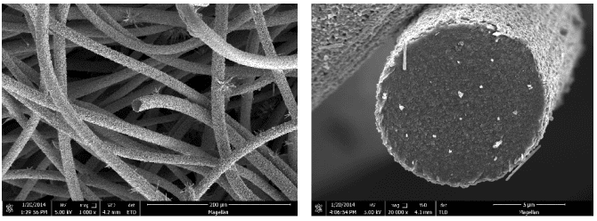 The morphology of carbon felt and single carbon fiber end after coating