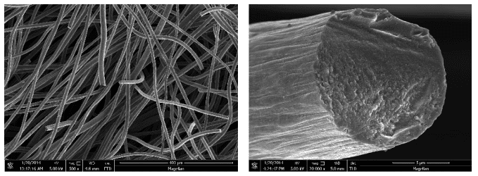 The morphology of carbon felt and single carbon fiber end before coating